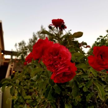 Ponte Winery - Wineries Near Me - Temecula, California