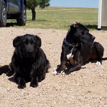 Woofters Top Dog - Wayne and Titus basic dog obedience! - Pet Training Near Me - Mulvane, Kansas Woofters Top Dog - Wayne and Titus basic dog obedience! - Pet Training Near Me - Mulvane, Kansas