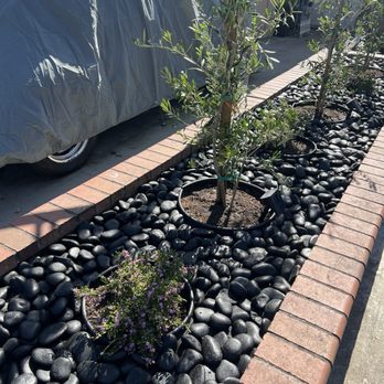 Ramirez Growers - Nurseries & Gardening Near Me - Cerritos, California Ramirez Growers - Nurseries & Gardening Near Me - Cerritos, California