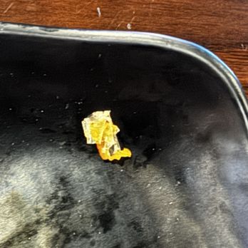 Grille One Nine Asian Fusion - Strange piece of plastic that I found in my squid salad - Sushi Bars Near Me - Port Richey, Florida