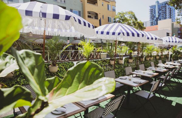 Crudo Ceviche & Oyster Bar by null