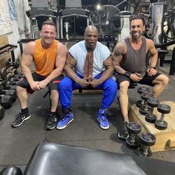 Metroflex Gym