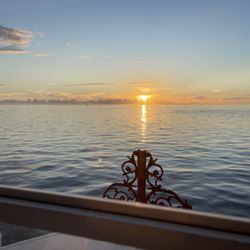 Marina Rose Cruises
