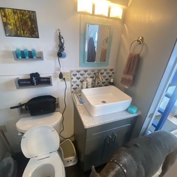 Tiny House - Penelope trying to take a bath.. - The image shows a small bathroom with a white sink mounted on a gray cabinet, a mirror above the sink, and a towel ring with a brown towel. To the left, there is a toilet with a black bag on top and a small trash bin nearby. The wall behind the sink has a decorative tile backsplash with a heart pattern. A dog is standing near the toilet, partially visible in the foreground. The lighting is provided by a fixture above the mirror, and a window or door is visible on the right side of the image. - Vacation Rentals Near Me - Leadville, Colorado