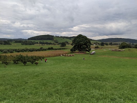 Valley View Farm by null