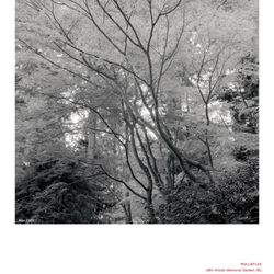 Nitobe Memorial Garden - Nitobe Garden film photo by aaronshaphoto (Instagram)