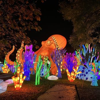 Glowfari - Zoos Near Me - Oakland, California Glowfari - Zoos Near Me - Oakland, California