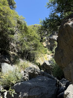 Salmon Creek Falls by null