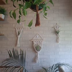 The Gold Bar - Oak + Anna Hawaii - Handmade Treasures - Macrame air plants at Journey Cafe Kona