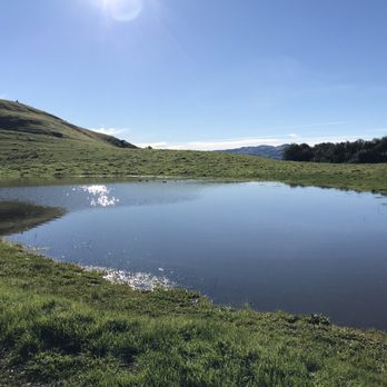 Pleasanton Ridge Regional Park - It had rained for 1 week straight just several days ago!  The beautiful ponds! - Parks Near Me - Pleasanton, California