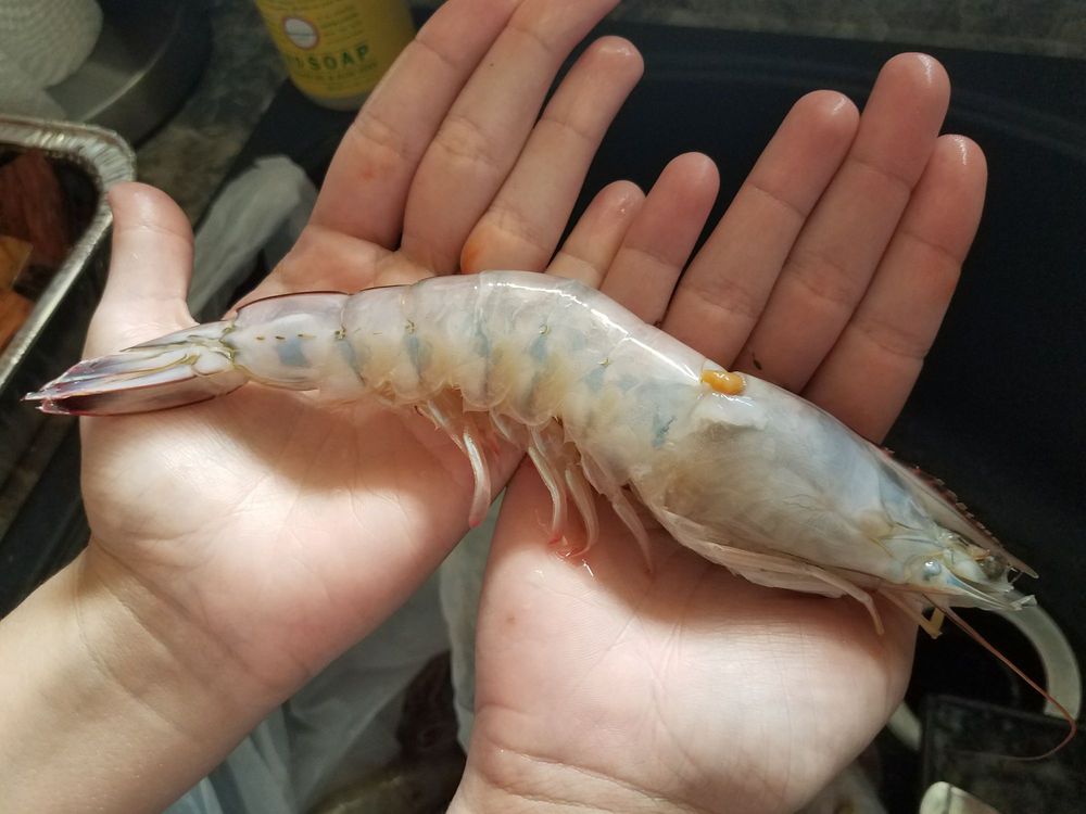 WESTWEGO FARMERS & FISHERIES MARKET Updated September 2024 484 Sala