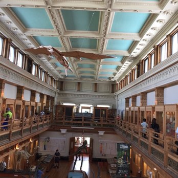 Musée Redpath - Museums Near Me - Montreal, Quebec