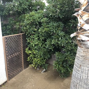 Safari Landscaping - After (brand new gate!) - Landscaping Near Me - Las Vegas, Nevada