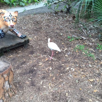 Busch Wildlife Sanctuary - Zoos Near Me - Jupiter, Florida