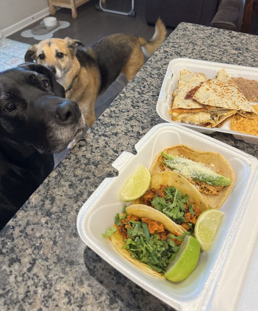 Willy's Takeria Logo