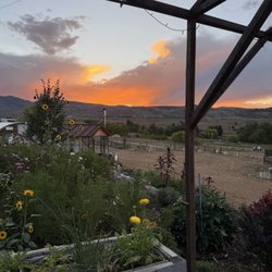 Black Cat Farmstead