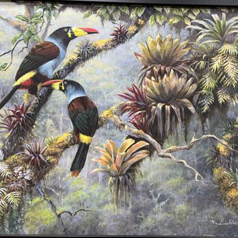 Hidden Forest Art Gallery - Art Galleries Near Me - Fallbrook, California