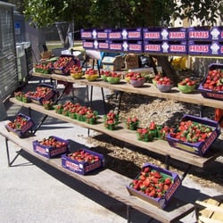Hernando Fresh Market