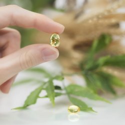 The Midwest Craft CBD + Hemp Center