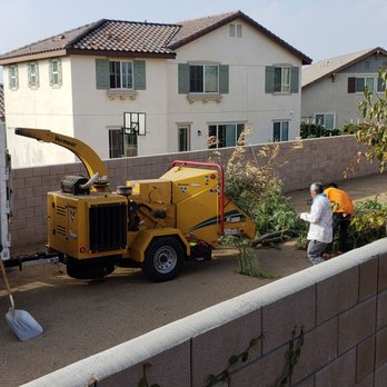 Lucero Tree Service - Tree Services Near Me Lucero Tree Service - Tree Services Near Me