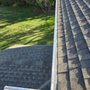 Anthony's Gutter Cleaning & More
