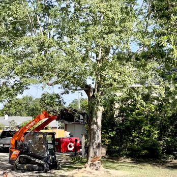 Sadler IV Enterprises - Tree removal - Fences & Gates Near Me Sadler IV Enterprises - Tree removal - Fences & Gates Near Me
