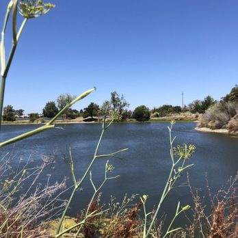 Los Gatos Creek Trail - Parks Near Me - Campbell, California