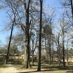 Heath Park