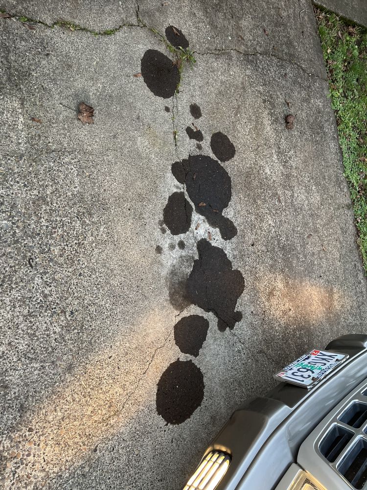 WILSON MOTORS Updated October 2024 38 Reviews 425 N W Buchanan