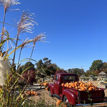 The Farmer's Daughter - Nurseries & Gardening Near Me - Wakefield, Rhode Island
