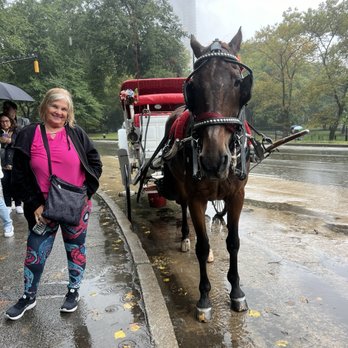Central Park Carriage Tours - Tours Near Me - New York, New York Central Park Carriage Tours - Tours Near Me - New York, New York