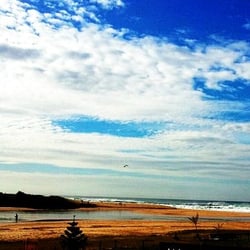 Avoca Beach