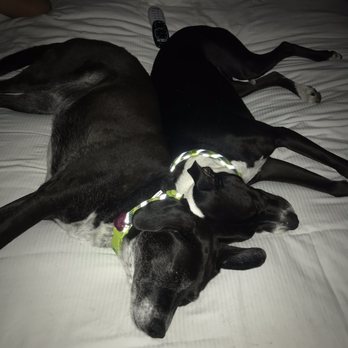 Casa Del Mar Inn - Exhausted from beach activities! - Hotels Near Me - Santa Barbara, California Casa Del Mar Inn - Exhausted from beach activities! - Hotels Near Me - Santa Barbara, California