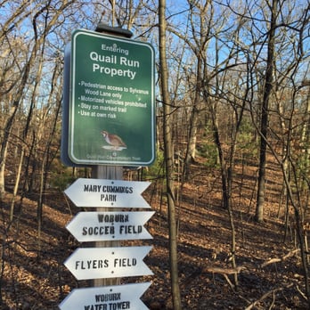 Mary Cummings Park - More great signage in the middle of the woods, its everywhere so you don't get lost. - Parks Near Me - Burlington, Massachusetts Mary Cummings Park - More great signage in the middle of the woods, its everywhere so you don't get lost. - Parks Near Me - Burlington, Massachusetts