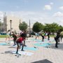 LMGfit