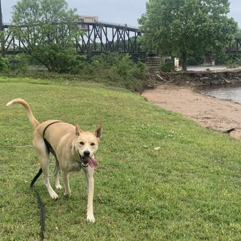 Buhlow Lake Recreation Area - Waterfront fun - Parks Near Me - Pineville, Louisiana