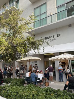 Sour Seed Bagels by null