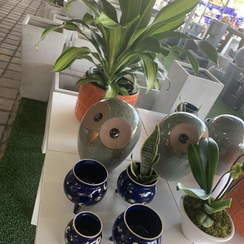 Casaplanta Garden Center - The owls!! I was obsessed - Nurseries & Gardening Near Me - Miami, Florida