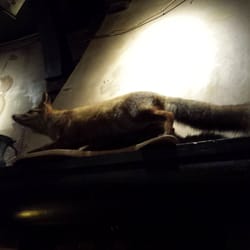 Het Voske - Getting foxy in 't Voske!
