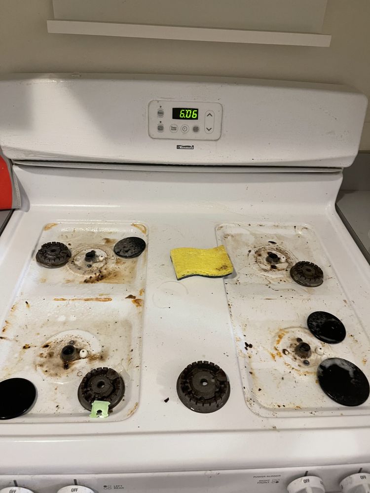 DELUXE MIXED CLEANING Updated June 2024 37 Photos Mount Vernon