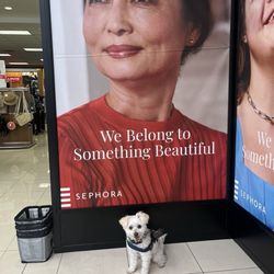 Kohl's - SantaPaws says, "She looks beautiful like Grandma"