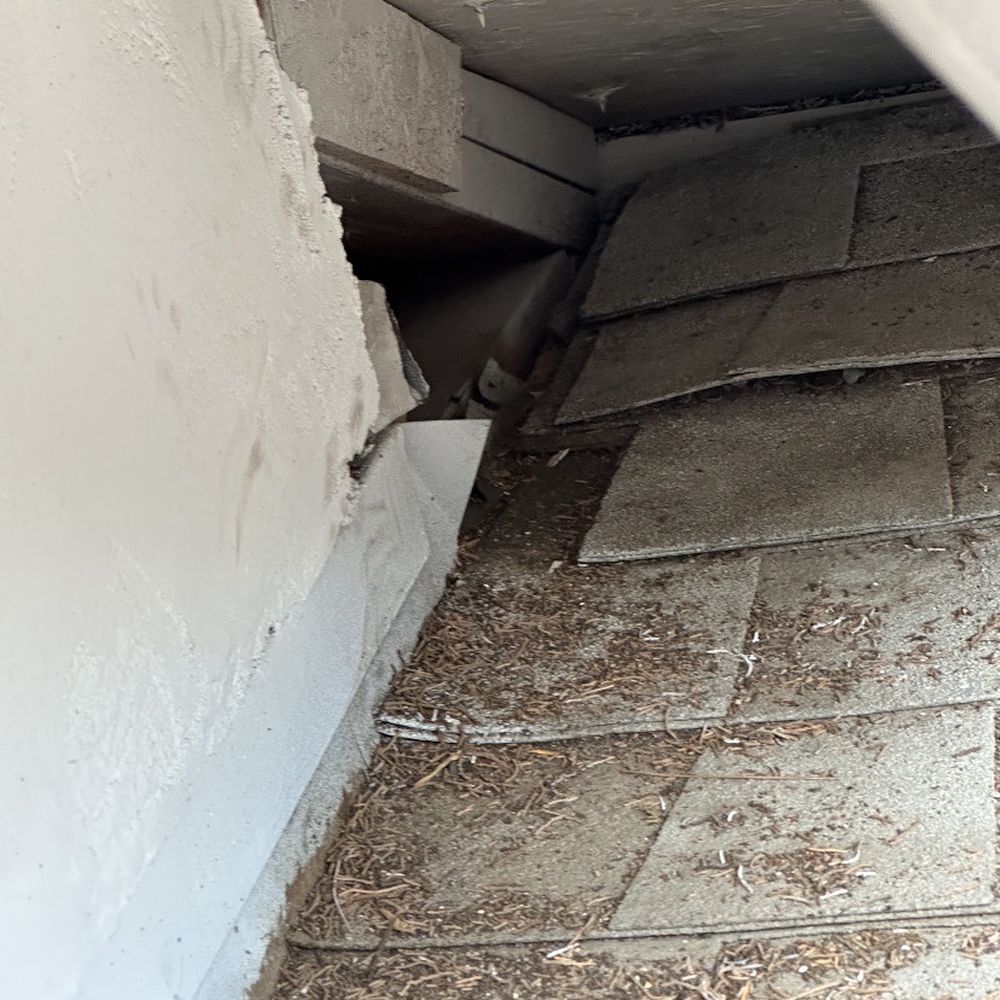 360 Rodent Control - Pest Control Near Me