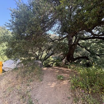 Potato Mountain - Entrance to trial - Hiking Near Me - Claremont, California