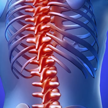 Wofford Chiropractic - Chiropractors Near Me - Encinitas, California