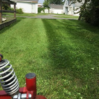Bickley Lawn Services - a red lawn mower - Lawn Services Near Me Bickley Lawn Services - a red lawn mower - Lawn Services Near Me