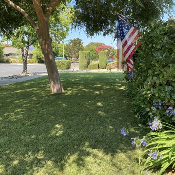 Bay Area Plus Landscaping - Look how perfect! - Landscaping Near Me Bay Area Plus Landscaping - Look how perfect! - Landscaping Near Me