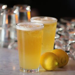 1803 Nyc - Shandy
