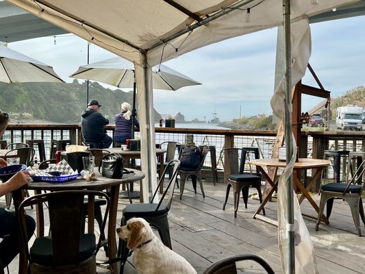 Princess Seafood Restaurant by null