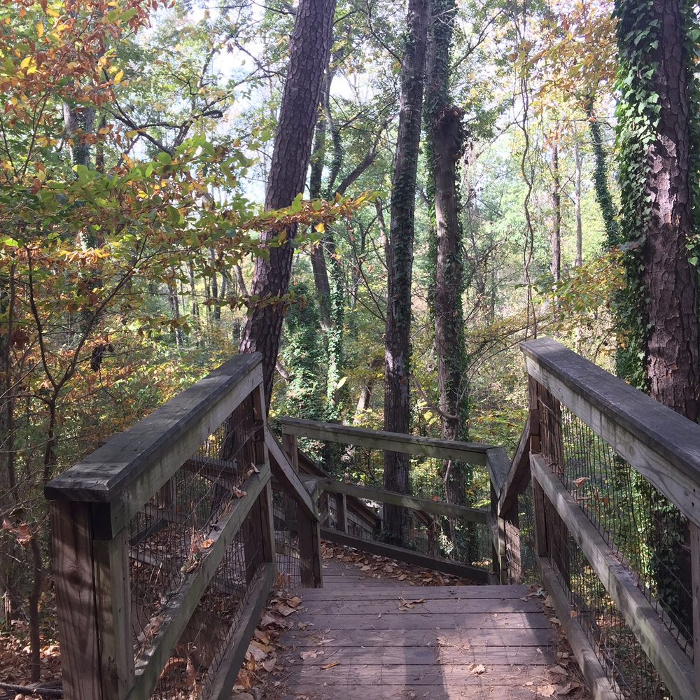 Morningside Nature Preserve - Parks Near Me - Atlanta, Georgia Morningside Nature Preserve - Parks Near Me - Atlanta, Georgia