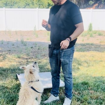 Bar K9 Dog Training - Pet Training Near Me Bar K9 Dog Training - Pet Training Near Me